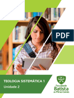 Teologia Sistematica - 2