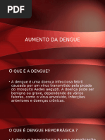 Aumento Da Dengue