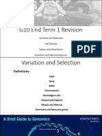 G10 Revision