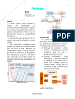 Resumo de Patologia - Prova 01