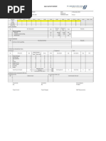 Daily report scapolding 251124