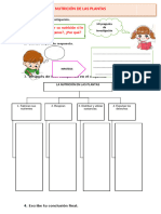 D3 A1 FICHA CT.NUTRICION DE LAS PLANTAS