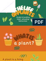 Nutrients for Plants