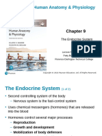 3 Endocrine System