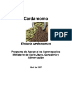 Cardamomo Agronegocios