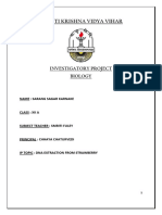 DNA extraxtion from strawberry class 12th project -1