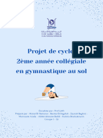 Projet de cycle 