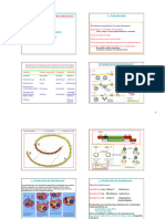 Tema17ProtHumanas