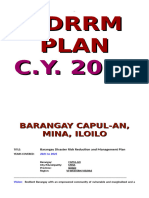 BDRRM Plan Template Englis8