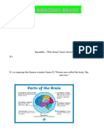 Interesting Facts of Brain-Conversation