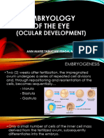 Embryology of eye