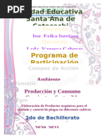 Proyecto Ppe Ambiente