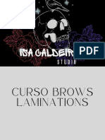 Curso Brows.pdf