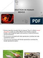 PPT_Reproduction in Human Beings