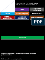 SLIDES - PRÓSTATA