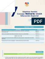 Séptima Sesión de Cte Usaer