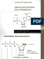 Clase Metabolismo de Nucleotidos 30-10-2024