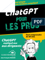 Chat GPT Pour Les Pros - DOMPTER