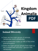 4. Animal Diversity Updated