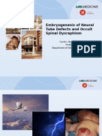 Embryogenesis of Neural Tube Defects and Occult Spinal