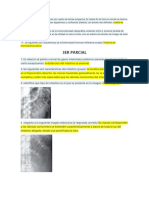 Examenes-de-Radiologia-1