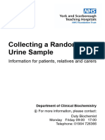 Collecting a Random Urine Sample