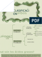 LIPIDOS CLASIFICACION