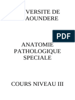 COURS NIVEAU III POUR NGAOUNDERE