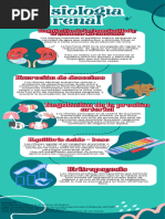 Fisiología renal