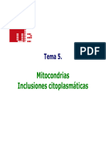 Tema 5 Mitocondrias e inclusiones citoplasmáticas