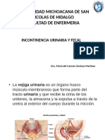 13.- Incontinencia-uri y Fecal