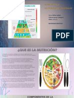 NUTRICIÓN Y SUS COMPONENTES NUTRICIONALE