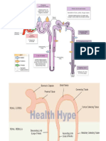 Renal Clinical 270112