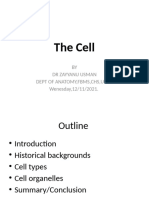 The Cell (Allied) (1)