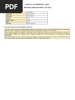 4  AÑOS _PROYECTO_DE_APRENDIZAJE_N°04