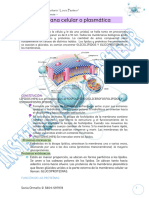 APUNTE MEMBRANA PLASMATICA 2024