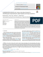 Lactiplantibacillus Plantarum L67 Reduces Diet Induced Obes 2024 Journal of