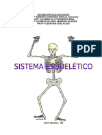 Roteiro Prático de Sistema Esquelético - 2019.1