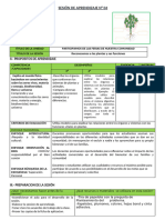 Sesion ciencia la planta y sus funciones