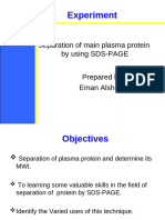 Protein Electrophoresis