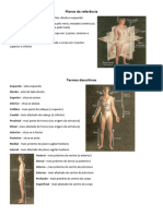 Resumo anatomia