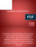 (9) Prostata