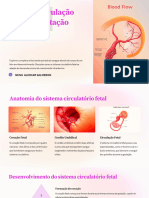 Aula 2- Circulação Fetal e Adaptação Neonatal 2024