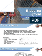 M8 Endocrine System