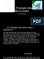 Le Triangle Des Bermudes