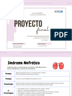 _Proyecto final enfermedades renales 1