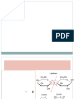 11- Produçao de derivados lacteos fermentados (2)