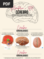 Monitoria - 2M - Cérebro.pdf