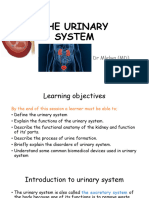 10.the Urinary System