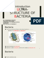 Ultra-structure of bacteria 